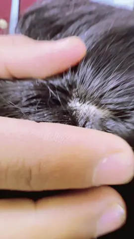 #mswigcenter #foryoupage #viralvideos #onemillionaudition #newtranding #plzforyou😘🥰 