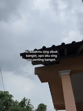 #jowokuciwoo 
