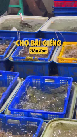Bãi Giếng Hòn Sơn ngoài là nơi neo đậu của nhiều tàu, ghe ở Hòn Sơn. Ở đây còn là chợ chính tại Hòn Sơn, chợ ở đây bán rất nhiều các loại hải sản tươi sống với giá cả phải chăng. Bạn có thể mua rồi mang về tự chế biến để thưởng thức hương vị biển đảo chân thực nhất #plantotravel #honson #travelhonson