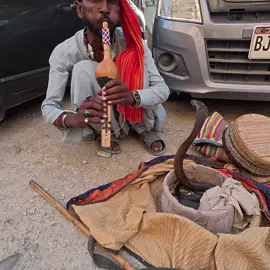 Street Cobra Show In Karachi, Pakistan #pakistan #karachi #karachipakistan #travel #traveltiktok