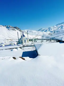 #تاجیک_هزاره_ازبک_پشتون_ترکمن🇦🇫pokhtoon #500kviews #foryoupageofficiall #تاجیک_هزاره_ازبک_پشتون_ترکمن🇦🇫 #6078❤❤️❤🙏🙏🙏💕💕💕🥰🥰🥰 #foryoupage❤️❤️ #120mm #2M 