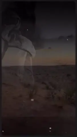 #ابيات #شعروقصايد #شعراء_وذواقين_الشعر_الشعبي #شعر 