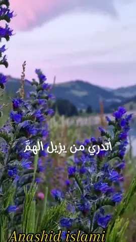 اناشيد اسلاميه 