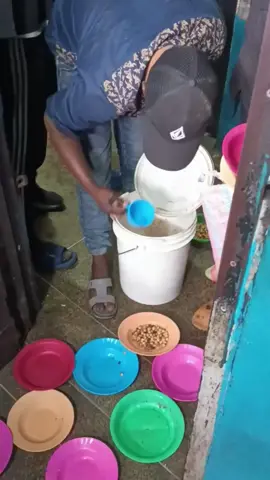 Kamukunji lunch na dinner ilikuwa githeri bila chumvi. How much does the government pay per plate of food for inmates. The food served in police cells, and in prison is always bad, but I’m sure the government pays premium price per plate. #bonifacemwangi #kenyantiktok