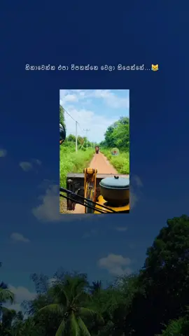 💔😹 #ceylon_tik_tok #shevi #foryoupage #trending #tiktokviral  . . . 𝒗𝒆𝒅𝒊𝒐 𝒄𝒓𝒆𝒅𝒊𝒕𝒔 𝒈𝒐𝒆𝒔 𝒕𝒐 𝒐𝒓𝒊𝒈𝒊𝒏𝒂𝒍 𝒂𝒓𝒕𝒊𝒔𝒕 💙💐