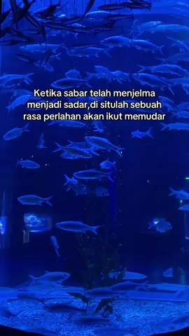 #katakata #quotes #sad #sadstory #galaubrutal #katahati #fouryou #fyp #fypシ゚ #xyzbca #jakartaaquarium #pisces 