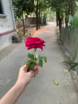 Bujcho sona🌚🫶🏻#viral #viralvideo #fryyyyyyyyyyyyyyyyyyyyyyyyy #fryoupage 