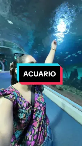 Respuesta a @Rosa María🦋 El acuario de #campograndems es el mas grande de agua dulce de todo el mundo y tenes que conocerlo #brasil🇧🇷 