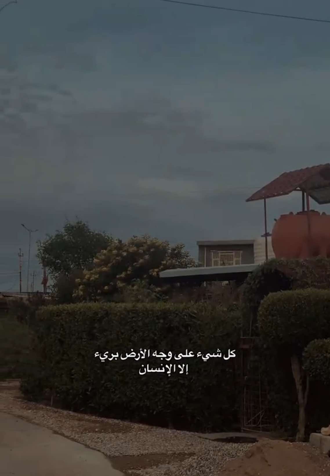 ـ دوستويفسكي ♥️#تصويري #pov #عبارات #اقتباسات #شعر #ستوريات #اشعار 
