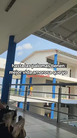 jajajaja verdad 😂#miamistad #satelitenorte #viral #fyp #bolivia #💙 #💙 #videoviral #popular #palomas #enamorados 