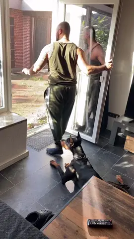 #foryou #viral #fyp #dog #hunde #hundevideos #dogsoftiktok #erinnerung 