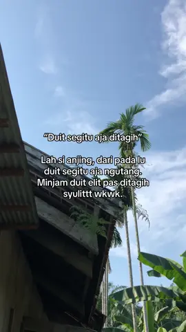 Lawak sekali anda🫵🫵👎#fyp #viral #xyzbca #beranda 