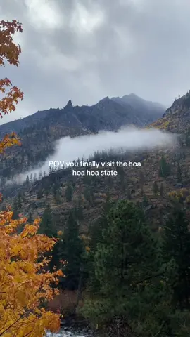 Twilight 🤝 Washington  #hoahoa #twilighttiktok #washingtonstate #washingtoncheck #mistymountains #fallvibes 