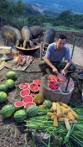 Would you like to experience a day of feeding pigs in rural China?#tiktok #foryou #fyp #China 