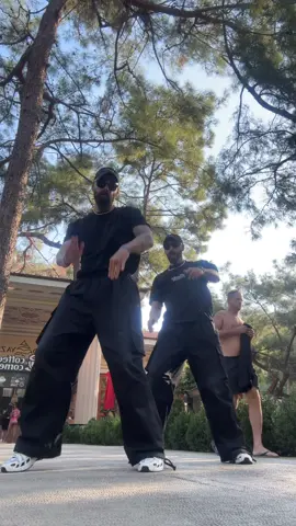 Hey turkey ✊🏻teaching at this beautiful place @SDR DANCE ❤️🔥 #twins #dance #fyp #trending #stepup 