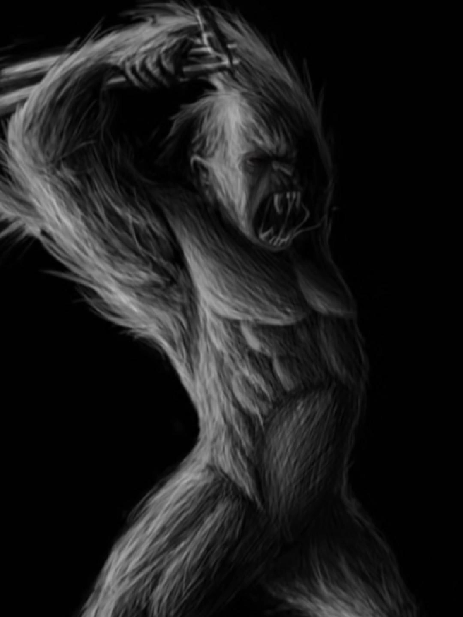 Solitario - Crítica a la ignorancia / 