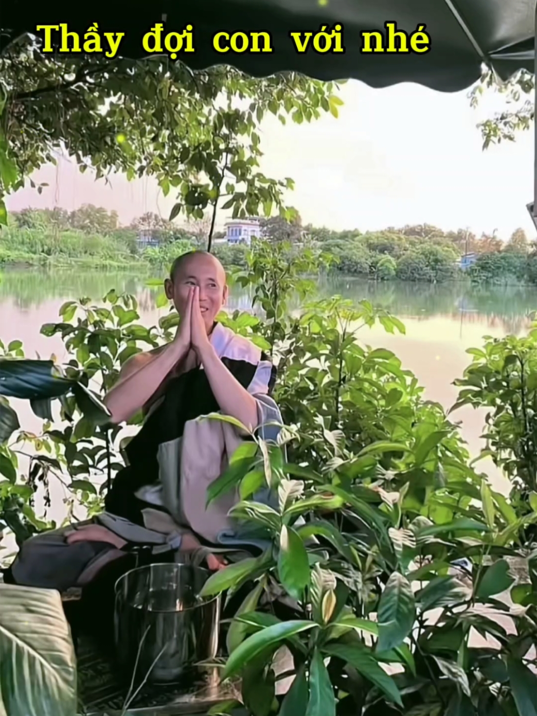 Con mong Thầy nơi ấy ngày mát mẻ, đêm ấm áp. Con đang chờ đủ duyên để được gặp Thầy. #thaythichminhtue #thayminhtue #suminhtue 
