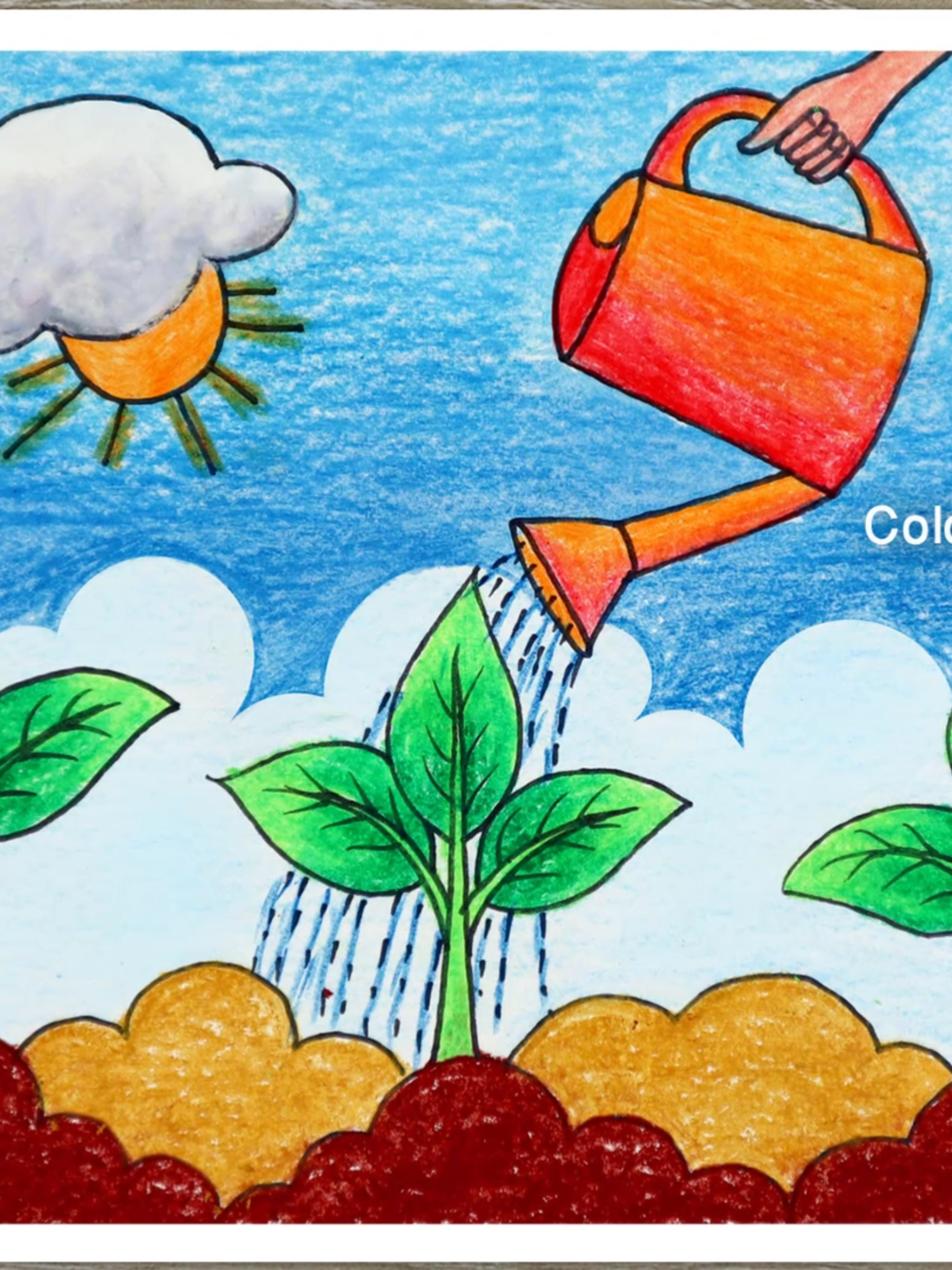 How to draw Tree Plantation Scenery for Beginners, environment day drawing #drawing #art #LearnOnTikTok #painting #oilpastel #oilpasteldrawing #sayatarucreation