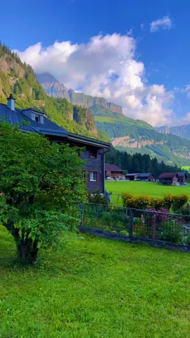 The beauty of Switzerland short video 4k HD #switzerland #suisse #nature 