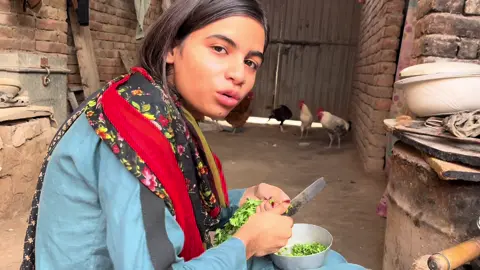 Laiba fareed vlogs #tutorial #trendingvideo #trendingvideos #flypシ #familytime 