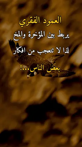 العمود الفقري 🫴🖐#عبارات_عابر #كسبلور_explor 