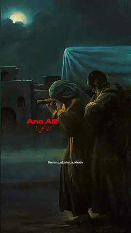 Ayam e Fatima 💔 . . . . . . . #servant_of_sher_e_khuda #shianeali #explore #reels #viral #karbala #najaf #ayyamefatimiyah #13jamadiulawal #shahdatbibifatima 