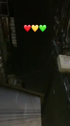 #fypシ゚ #thepaps 
