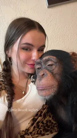 You and me belong together🦍🩷☮️ • • • #Chimps #chimpanzee #chimps #apes #cuteanimals #animals  #animals #animallover #monkey #monkeys #monkeyseemonkeydo #monkeylove #onelove #family #myfamily #riolilly #tara #rioandtara #mybaby #iloveyou 