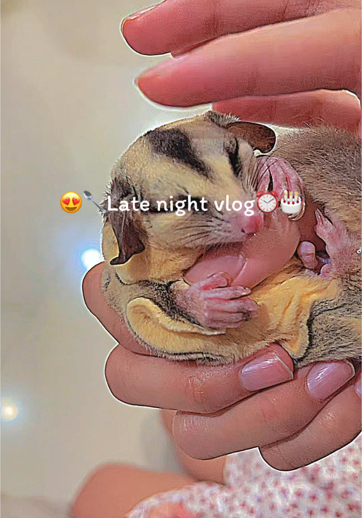 😍🥄Late night vlog⏰🎂