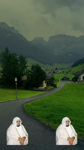 @Quran65 @Ali Al houdayfi❤️ @Coran_1122 🇵🇸 