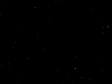 المنشاوي🤍 #تصميمي #قران #المنشاوي #تجويد #شاشة_سوداء #مطر 