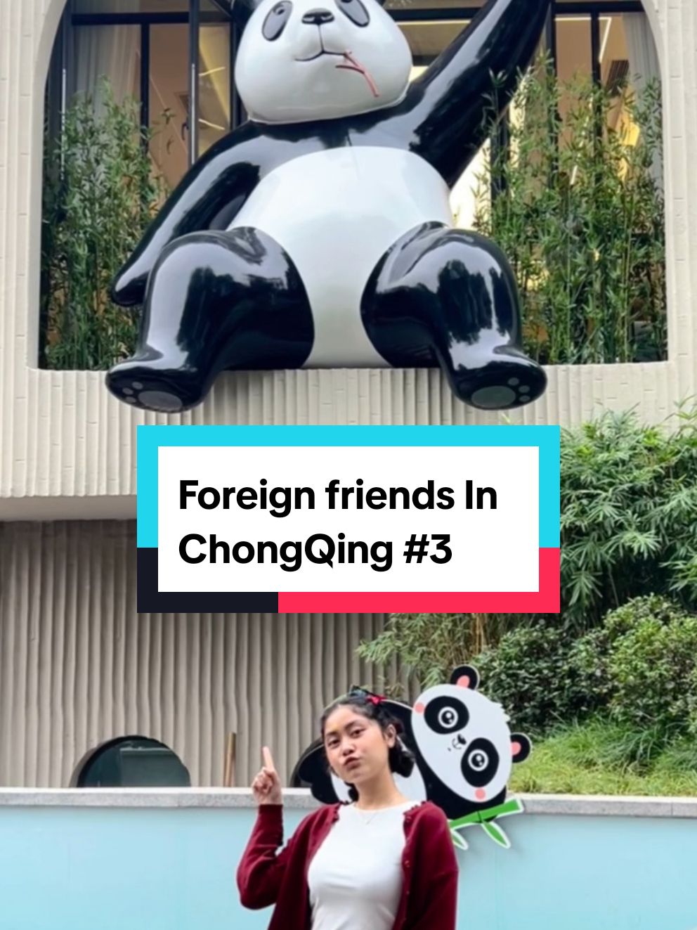 do you think it's worth 25yuan?     #chongqing #重庆 #chinatravel #panda #chongqingzoo