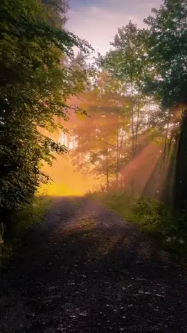 #السيد_علي_الطالقاني  #اكو ناس_متستحق_تسامحها #فعلا #والله 