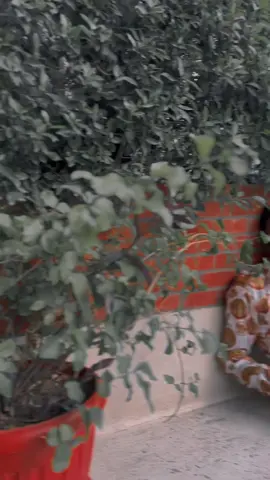 لسه اشغل مشتغلش كول وقت ولي ازانو #شرين_عبدالوهاب#مسلم #حكم #اصاله_نصري #عبدالرحمن_مسعد #رضاالبحراوي 