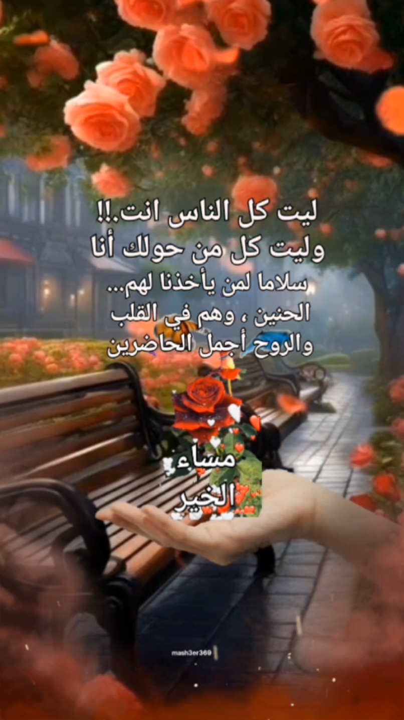 good evening  , مساء الخير، مساء الورد، مساء الخير بطريقة حلوة، حالات مساء الخير #مساء_الخير #مساء_الحب_والسعاده #مساء_الخير_يا_وجوه_الخير #مساء_الحب #مساء_الروقان #مساء_السعاده #مسائيات #مساؤكم_سعادة_تغمر_قلوبكم #اقتباسات #خواطر #عبارات #حنين #شوق #حبيبي #غربة #حالات #حالات_واتس #ستوريات #عرب #السعودية_الكويت_مصر_العراق_لبنان #النغرب_تونس_ليبيا_دبي_قطر #الاردن #تركيا #story #foruyou #tik_tok #CapCut @مشاعر 