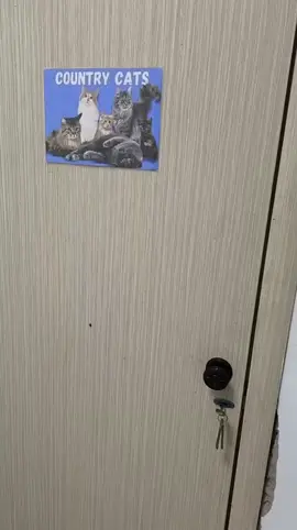 🙀Здесь проживает огромное количество кошечек и котиков.  🐱Все они очень разные: возраст, характер, темперамент, окрас, привычки и многое другое.  ❗Но есть одно общее, то, что их объединяет: у них нет своего хозяина.  😿Бывшедомашние кошечки остро чувствуют это. Они страдают... Должно пройти много времени, чтобы кошечка поняла, что её хозяин за ней не придет(((  🙏Но не смотря ни на что, они всё равно верят людям.  Верят и ждут!  Они очень ждут того, который придет и заберет ДОМОЙ❤!  ✅Если Вы в поиске своей кошечки, приезжайте к нам обязательно.  И ,возможно, кто-то из наших котеек сможет украсть Ваше сердце❤️ адрес Шубартау 2/1 (С. Муканова 2/1) (за спец цоном для автовладельцев) В 2гис Стопотлов 🕒 Выбрать и забрать питомца⬇️ ПН-ВС с 14.00-17.00 🕒 Привезти им вкусняшки(желешки), когтеточки, игрушки, провести с ними время, помочь руками 🙌⬇️ (обед 13.00-14.00) ПН-ПТ с 10.00-17.30 СБ-ВС с 12.00-17.30