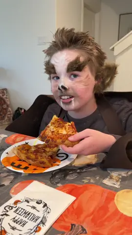 Megabat doin Megabat things. #megabat #nocturnal #homemadecostume 