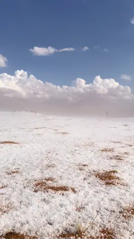 #غيوم #مطر #بردية #ثلج #اكسبلورexplore #اكسبلور #fyp #fyp #دومة_الجندل #الجوف #مالي_ومال_الناس #ترند #امطار #اجواء_الشتاء 