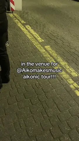 im so excited 🔥🔥🔥🔥 #whothehellismax #cosplayer #aikonic #aikomakesmusic #concerts 