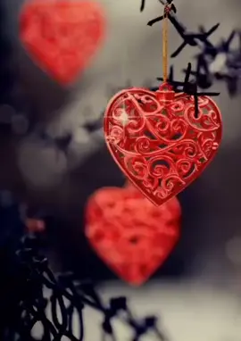 #حبيبتي_وروحي🤍💕🤍 