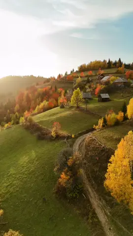 Ever felt like stepping into a painting? The Apuseni Mountains in autumn are exactly that—a surreal landscape of blazing colors and mist-shrouded hills, where nature’s palette seems endless. Among these peaks and valleys lie the “Fanetele din Apuseni”—the mountain meadows where barn roofs peek out from golden pastures, and weathered fences twist and turn like old folklore stories. These meadows and hillsides transform in the fall, offering a tapestry of amber, crimson, and rust that feels timeless and untouched. The Apuseni Mountains are a haven of biodiversity, home to around 150 species of plants, including rare alpine flora that thrive in these pristine conditions. Scattered across the rolling terrain are historic barns, or “suri,” many still in use by local farmers. These storied structures, with their sloping, thatched roofs, add a rustic charm to the landscape, evoking the way life has quietly unfolded here for centuries. Often cloaked in morning mist, the old wooden fences—built without nails—speak to the craftsmanship and traditions passed down through generations. It’s the quiet details that make autumn in Apuseni so enchanting: the distant sound of a cowbell, a rooster crowing from an unseen farmhouse, or the crisp, earthy scent of fallen leaves and damp wood. Each turn of the path feels like stepping deeper into a different world, where modernity has no place. So, if you could wander here, which path would you take first: the winding trails through the forest or the open meadows with views stretching to the horizon? Video by @ninorocel  [Apuseni Hills, Autumn Colors, Transylvanian Villages, Romanian Traditions, Wooden Barns, Mountain Fences, Karst Formations, Pastoral Life, Mountain Views, Traditional Architecture, Apuseni Mountains, Folklore, Crisp Air, Rustic Paths, Historic Barns, Leafy Trails, Timeless Landscapes, Romanian Countryside, Quiet Villages, Golden Season] #ApuseniMountains #Transylvania #AutumnMagic #RuralRomania #HeritageLandscape #Romania #Travel 