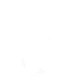 ¡FELIZ NAVIDAD! 🗣️🎅 #viral #fyp #tiktok #yourpage #tipografia #lyric 