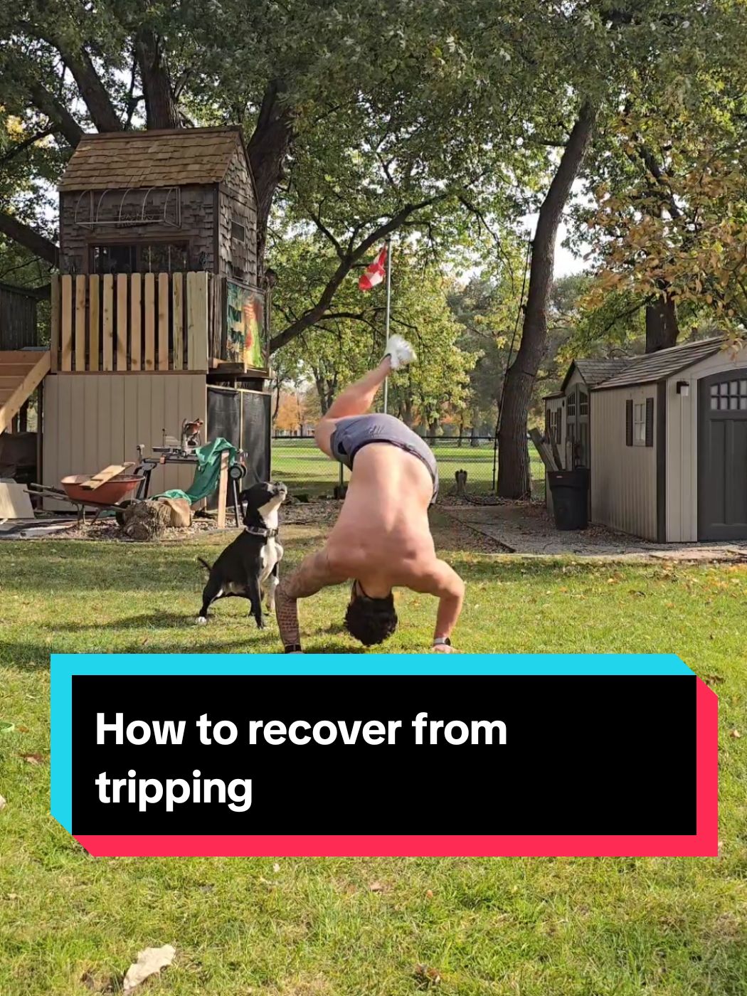Tripped and fell over? This is how to recover and look cool 😎 #flexible #splits #frontsplits @Harvey Justice | Fitness @Harvey Justice | Fitness @Harvey Justice | Fitness 