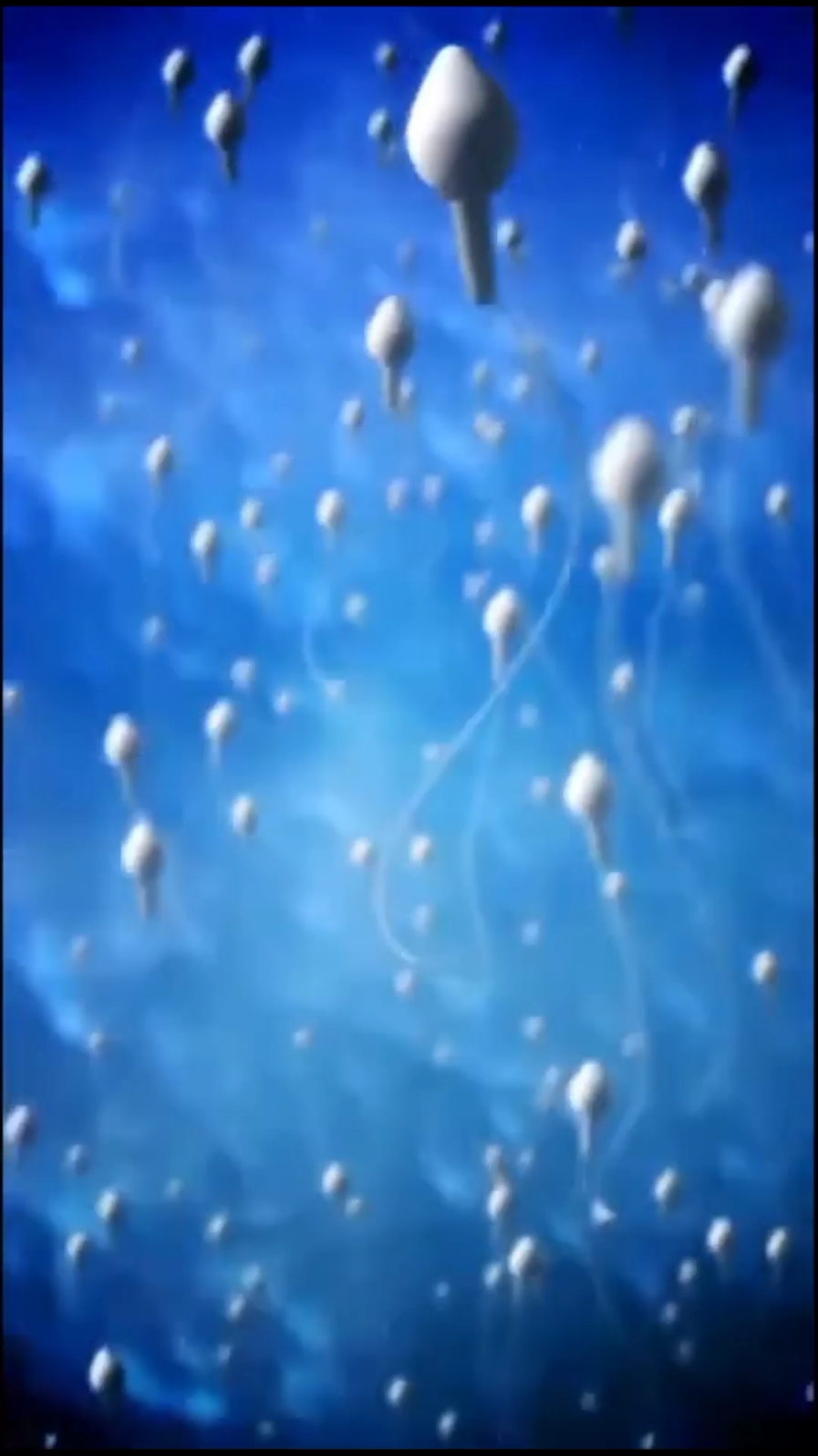 sperm race #viralvideo #trending #medicalvideos #trendingsong #trendingvideo #fyp #fypシ #forupage 