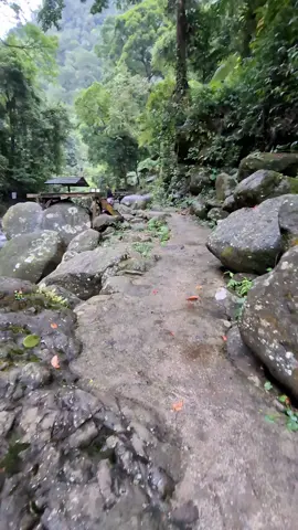 mentahan.bahan gabutmu #mentahanvideo #mentahan #fyp #lewatberanda #wisataalam #kajen #pekalongan #weloasripetungkriyono #content #contentcreator #tropis #sungai 
