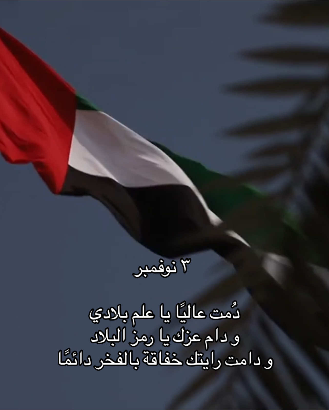 نرفعه عالياً ليبقى وسيبقى شامخًا 🇦🇪 #الامارات #يوم_العلم #يوم_العلم_الاماراتي #حفظنا_الله_من_كل_شر #uae 