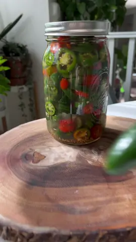 Pickled Jalapeños! 🌶️ I harvested well over 50 peppers before this last frost and a solid 20+ more made it through under a frost blanket. So LOTS of peppers to process! If you’re a baby like I am and don’t pop jalapeños like candy, this quick pickle will tone down their spice in such a fun way! For one quart: 2 Cups Sliced Fresh Jalapeños  1.5 Cups White Vinegar  1.5 Cups Water 1 Tbs Salt 1 Tbs Sugar 1 Tsp Mustard Seed 4 Cloves Garlic Pro Tip: I use 100% home-compostable gloves to make this process *way* less messy and to avoid pepper on my fingertips (so I don’t rub my eyes with it!) 🌶️ Pack jalapeños, garlic, and mustard into a quart jar, leaving about an inch of headspace. Then create the brine by combining water, vinegar, sugar and salt in a small pot and bringing to a boil. Pour hot brine over peppers, add a lid and let cool completely before transferring to the fridge for up to 3 months. You *can* waterbath can these, but I don’t personally like their texture afterward! If you decide to, process for ten minutes.  #asmr #asmrcommunity #asmrsounds #asmrfood #peppers #Recipe #pickledpeppers #pickles #lowwaste #zerowaste #slowliving #urbanhomestead #denver #growyourown #Sustainability #foodpreservation 