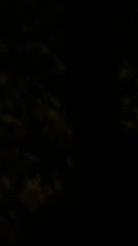 #fyp #foryou #viraltiktok #لا_اله_الا_الله #quran #الشعب_الصيني_ماله_حل😂😂 