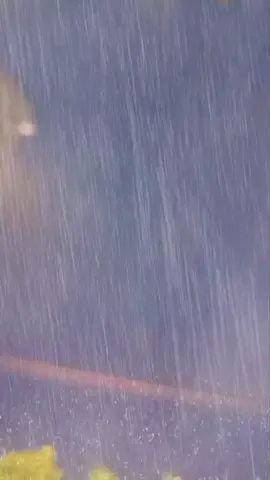 يارب والدنيا مطربشر قلوبنا بما تتمنى واجعل دعواتنا مستجابة🌧#مطر_غيوم #الشتاء_البرد_اجواء_شتويه #عواصف_رعديه #صلي_على_محمد #بغداد_مطر_الان #امطاراليوم