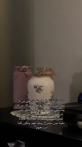 #اقتباسات #عبارات #اكسبلور #قطط #explore #fyp #foryou #cat #catsoftiktok #cats #catlover 